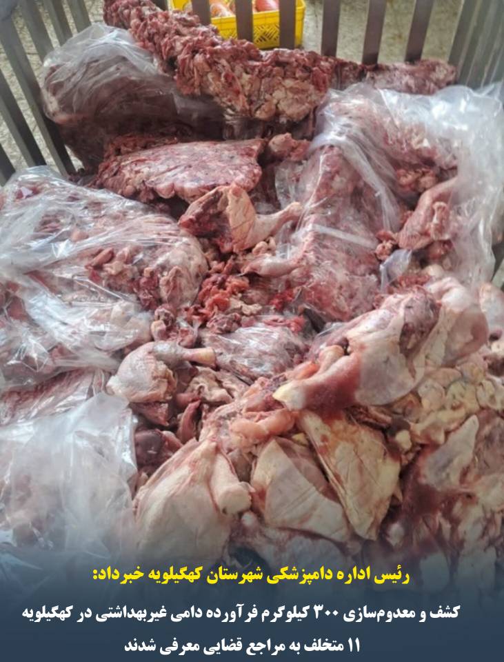 کشف و معدومسازی ۳۰۰ کیلوگرم فرآورده دامی غیربهداشتی در کهگیلویه/۱۱ متخلف به مراجع قضایی معرفی شدند